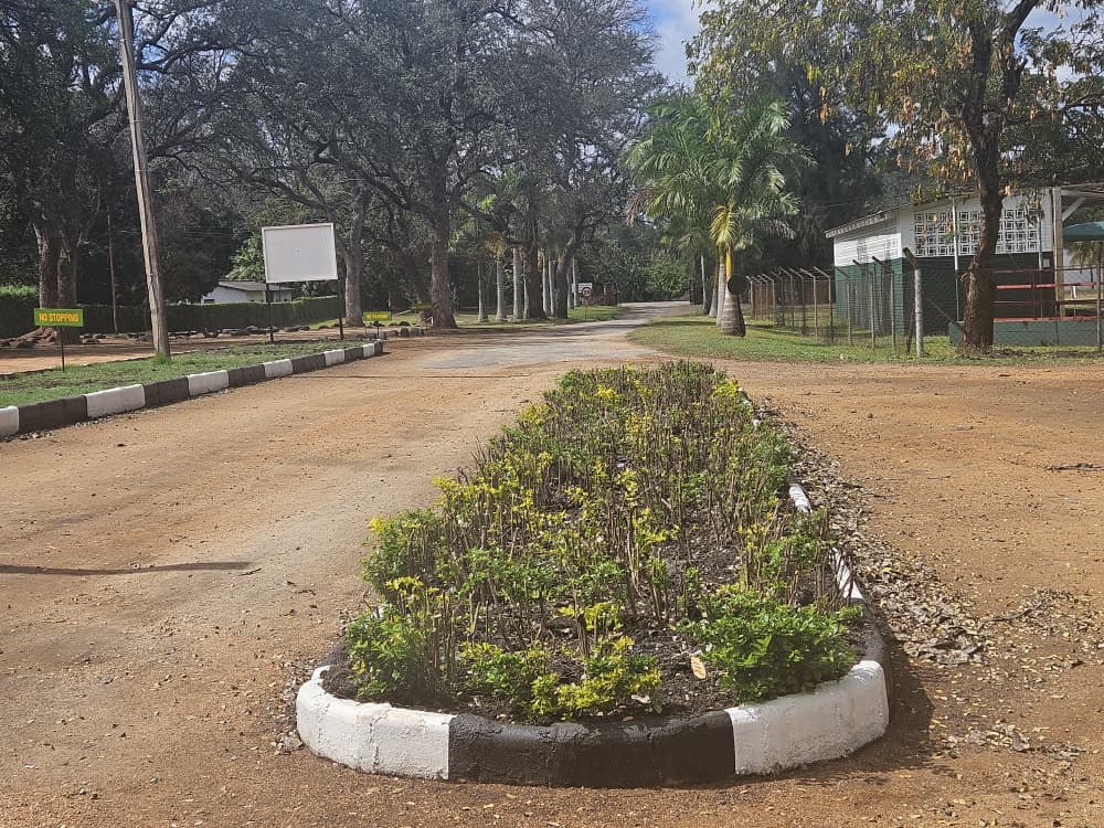 School Driveway